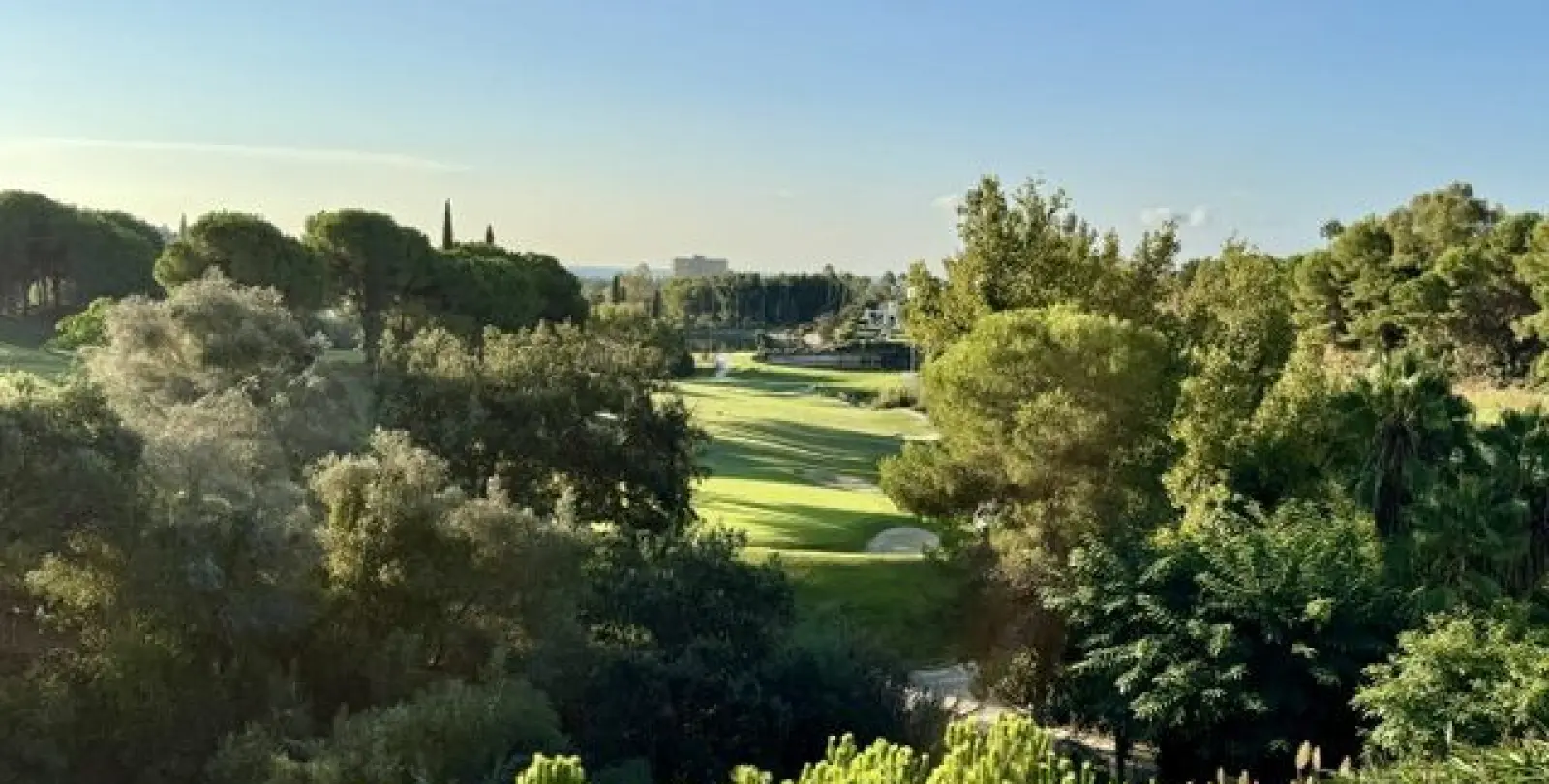 Sale of middle floor apartment in Santa María 17