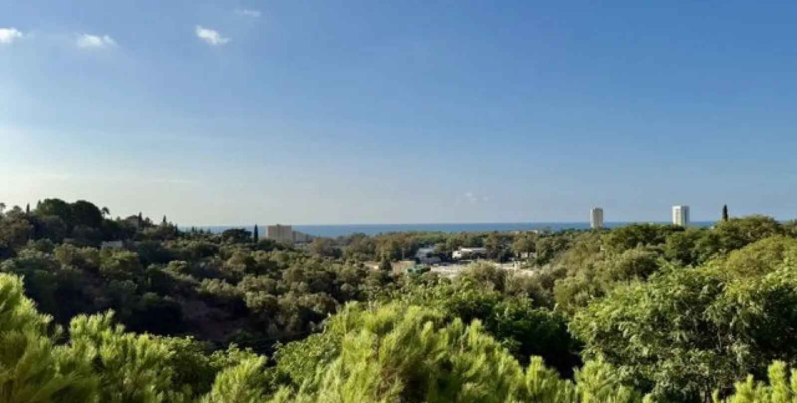 Sale of middle floor apartment in Santa María 18