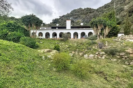 Image 4 thumb