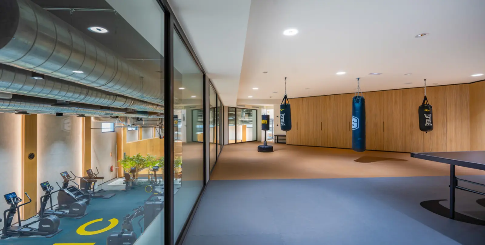 Long-term rent of ground floor apartment in The Golden Mile 12