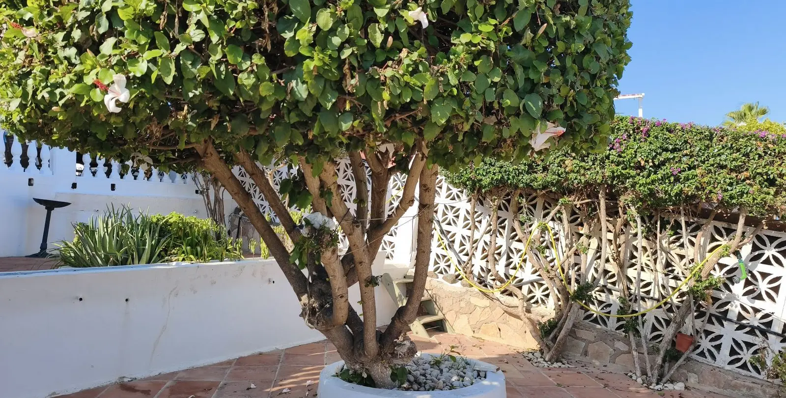 Sale of detached villa in Mijas Costa 47