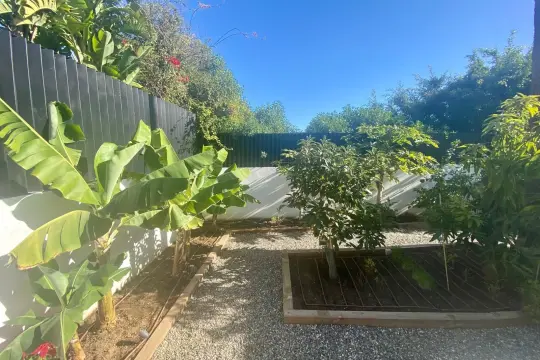 Image 62 thumb