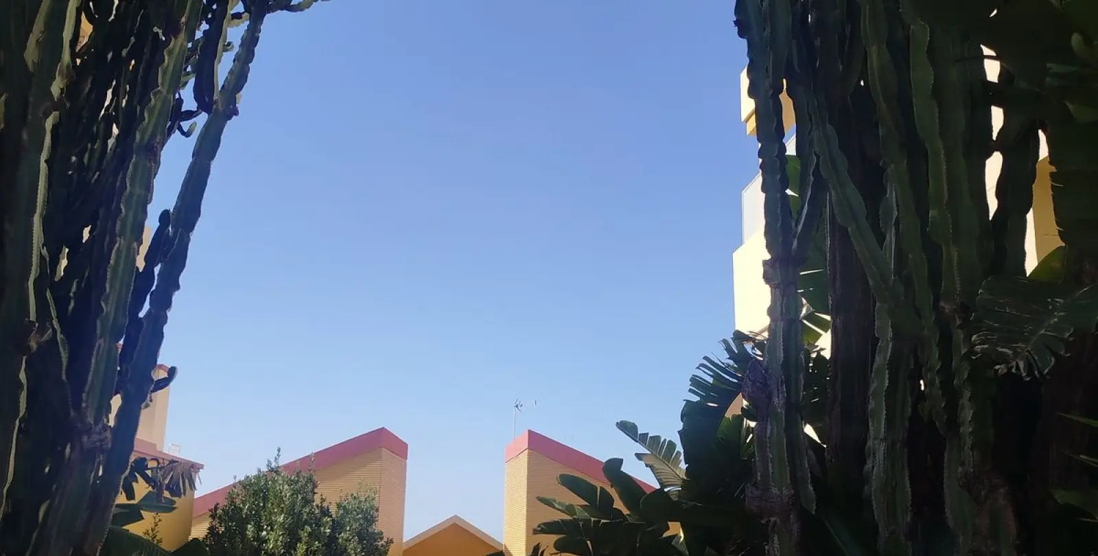 Sale of middle floor apartment in Elviria 34