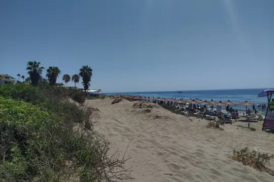 Image 64 thumb