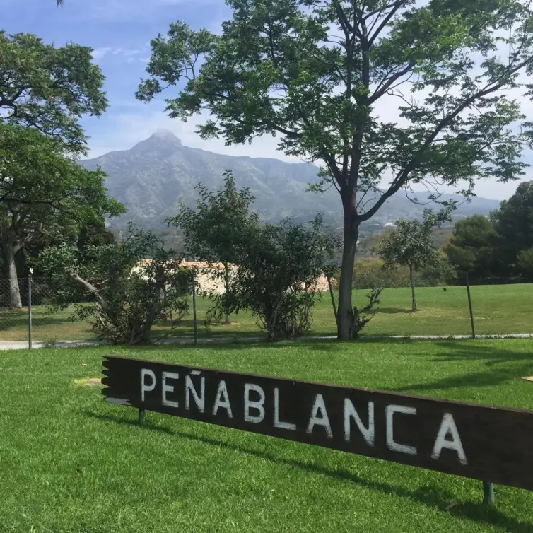Sale of townhouse in Nueva Andalucía