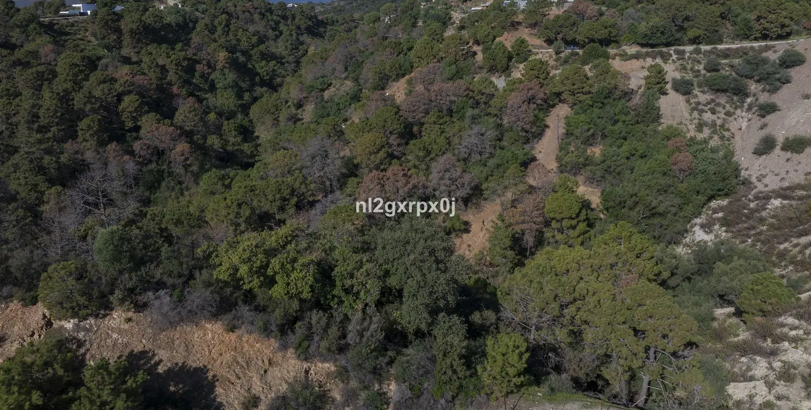 Venta de parcela residencial en Benahavís 11