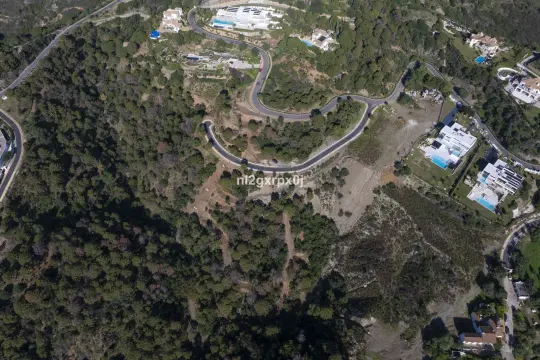 Image 12 thumb