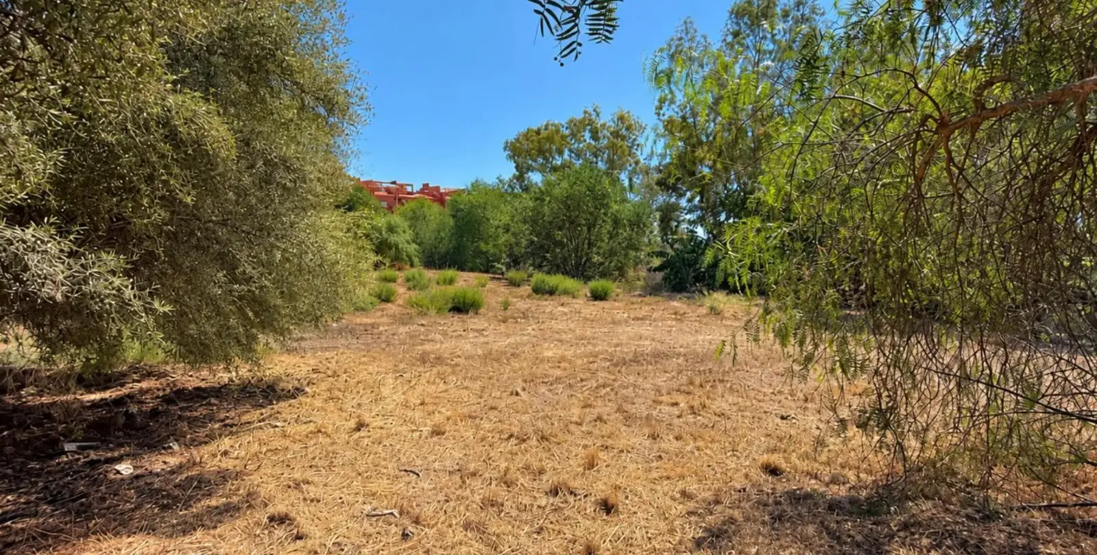 Venta de parcela residencial en Las Chapas 2
