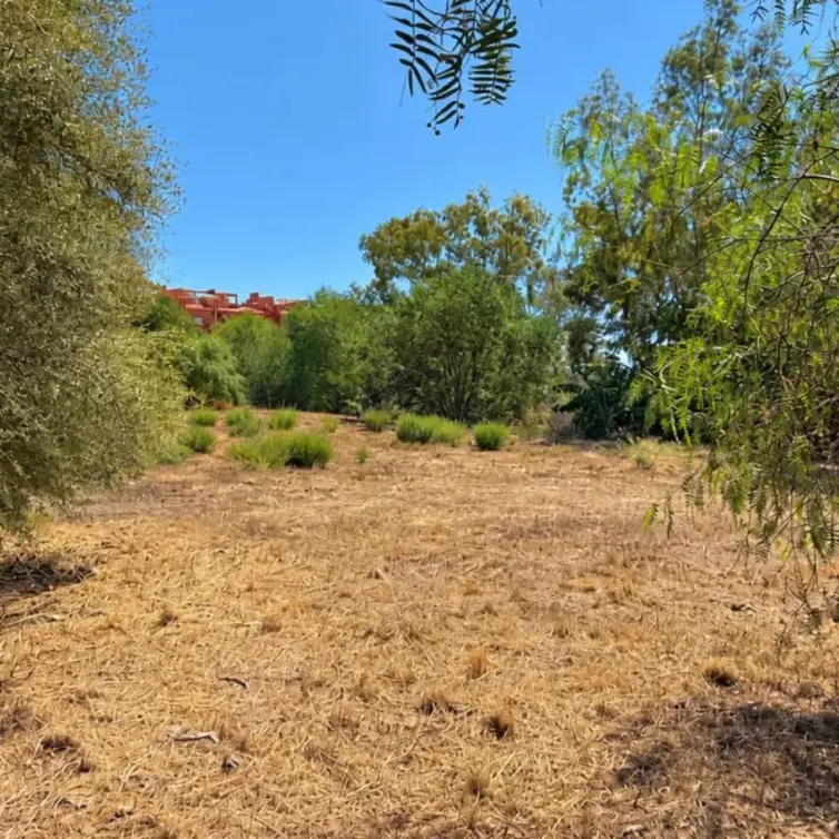 Venta de parcela residencial en Las Chapas