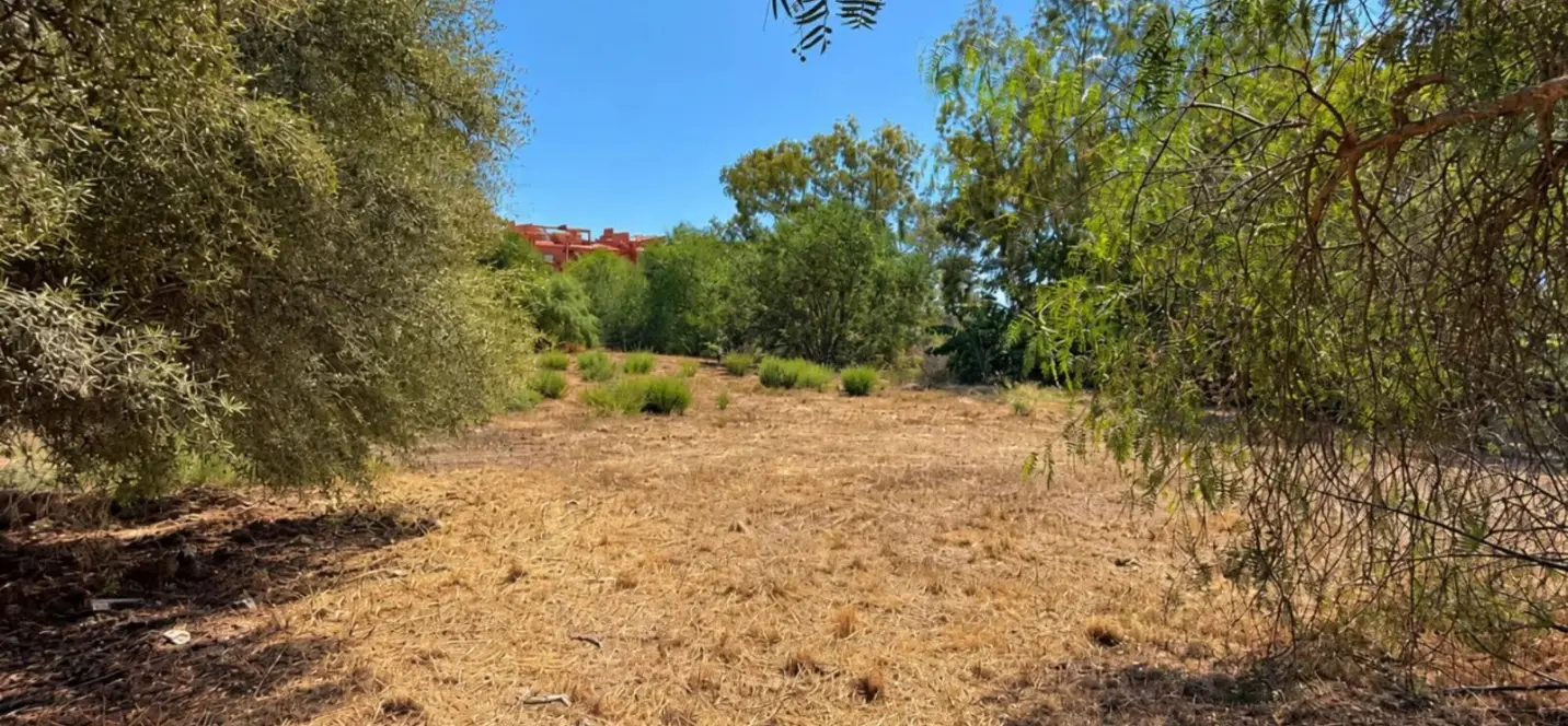 Venta de parcela residencial en Las Chapas 1