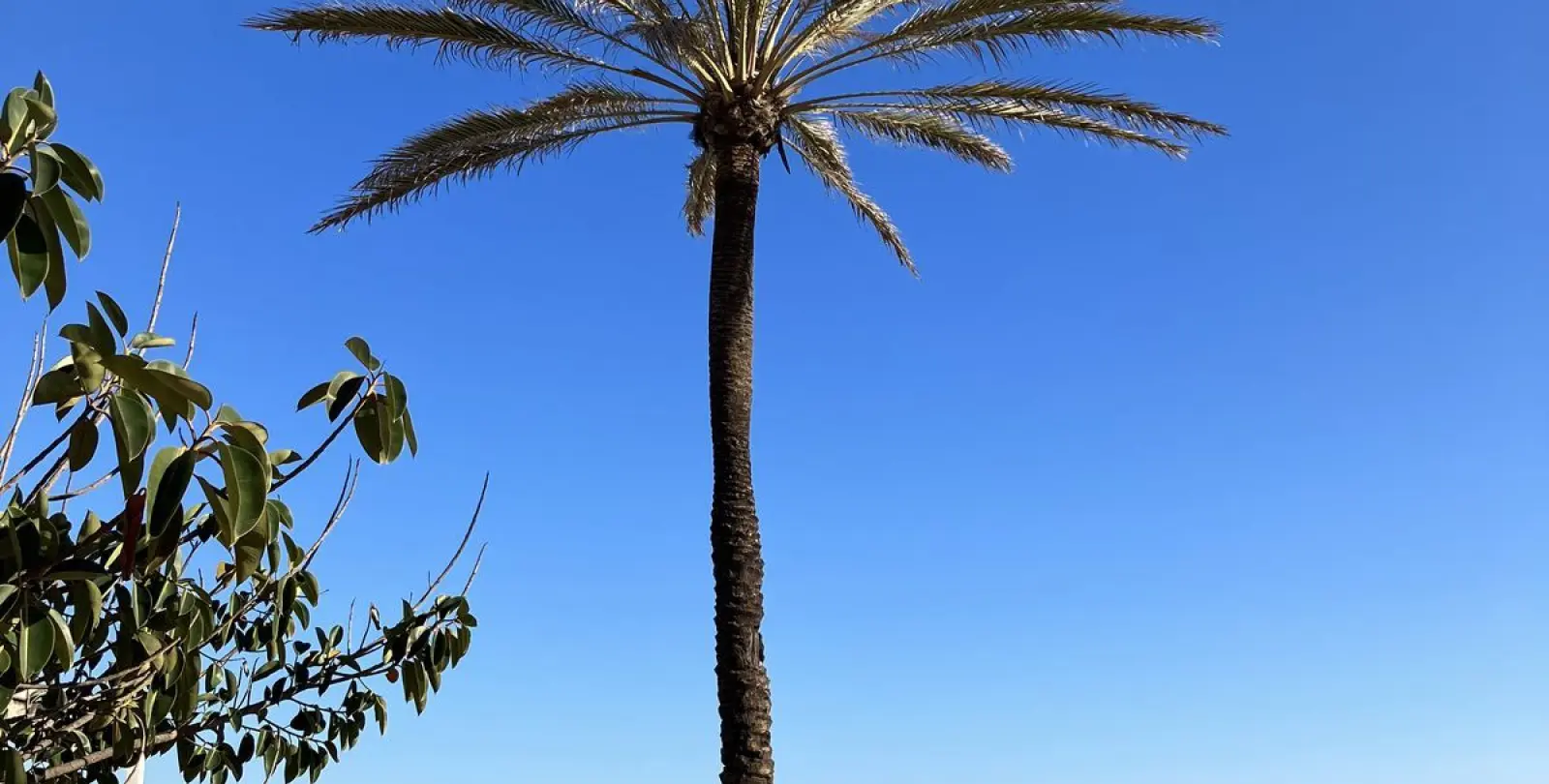 Sale of penthouse in Fuengirola 29