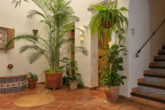 Image 4 thumb