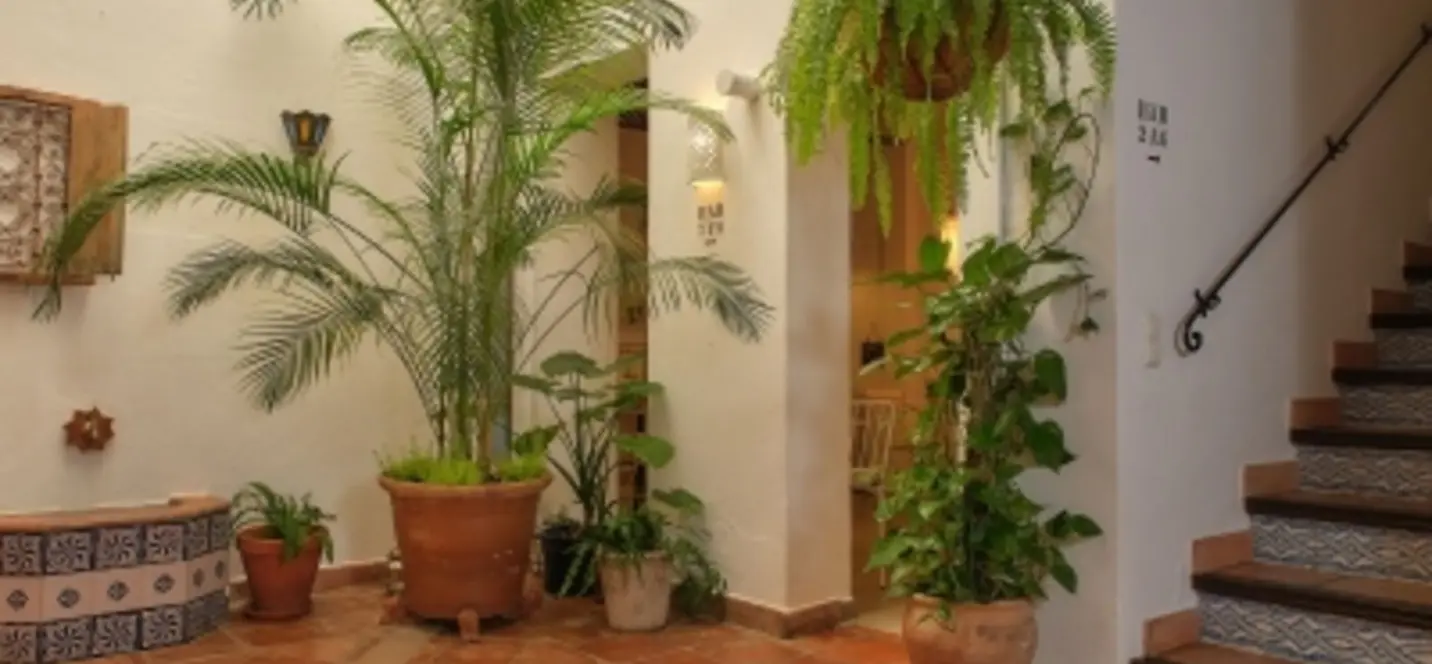 Продажа отеля в Marbella 3