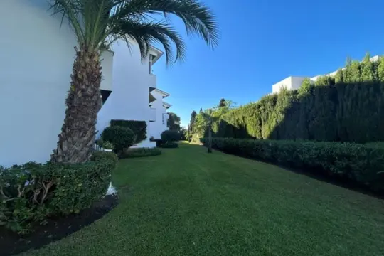 Image 5 thumb