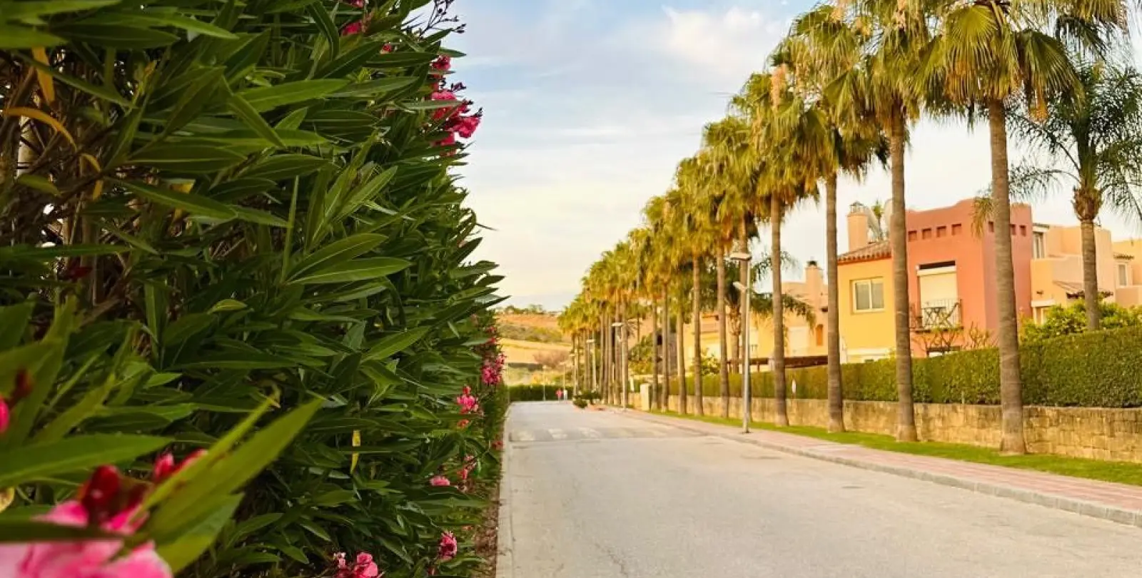 Sale of townhouse in Nueva Andalucía 5