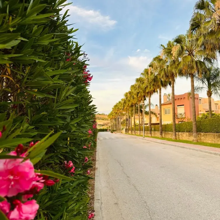 Sale of townhouse in Nueva Andalucía