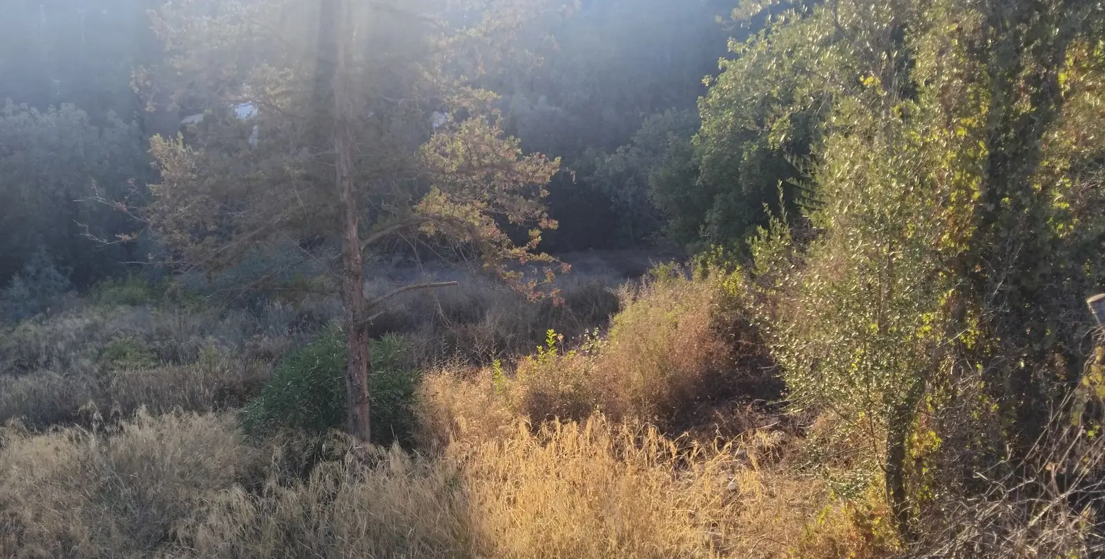 Sale of residential plot in La Quinta 1