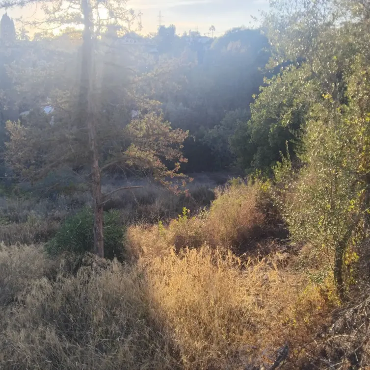 Sale of residential plot in La Quinta