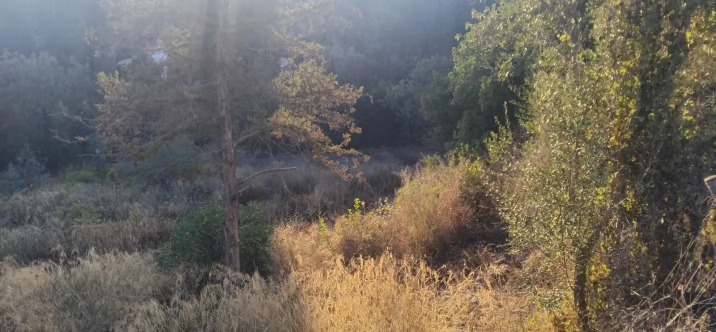 Sale of residential plot in La Quinta 0