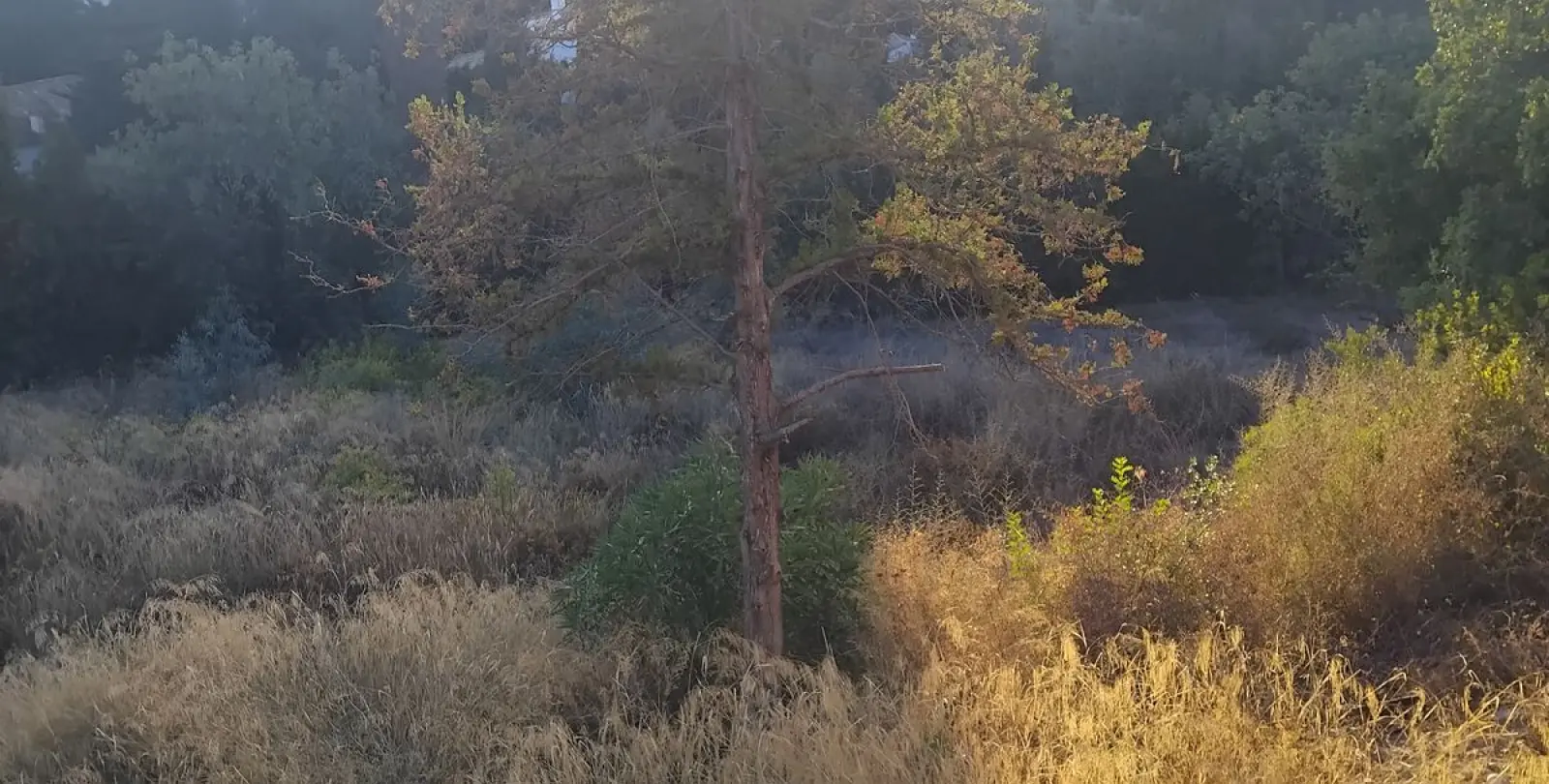 Sale of residential plot in La Quinta 2