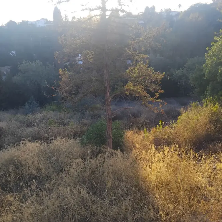 Sale of residential plot in La Quinta