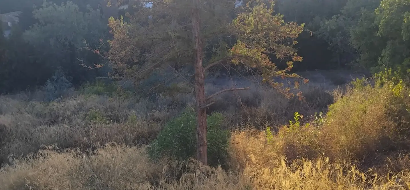 Sale of residential plot in La Quinta 1