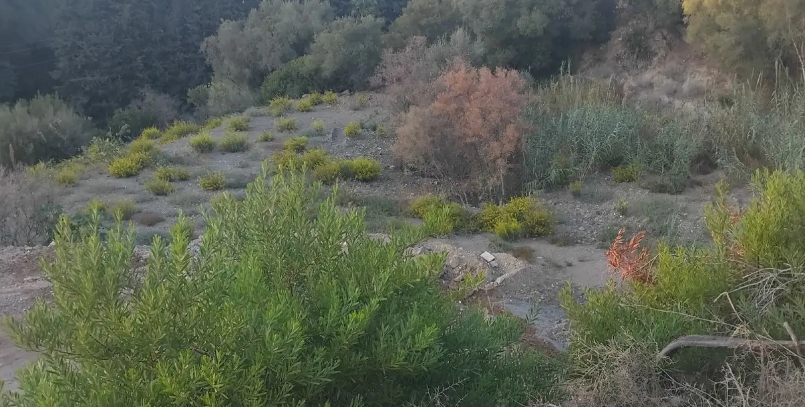 Sale of residential plot in La Quinta 4