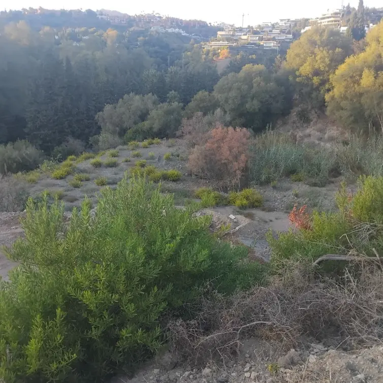 Sale of residential plot in La Quinta