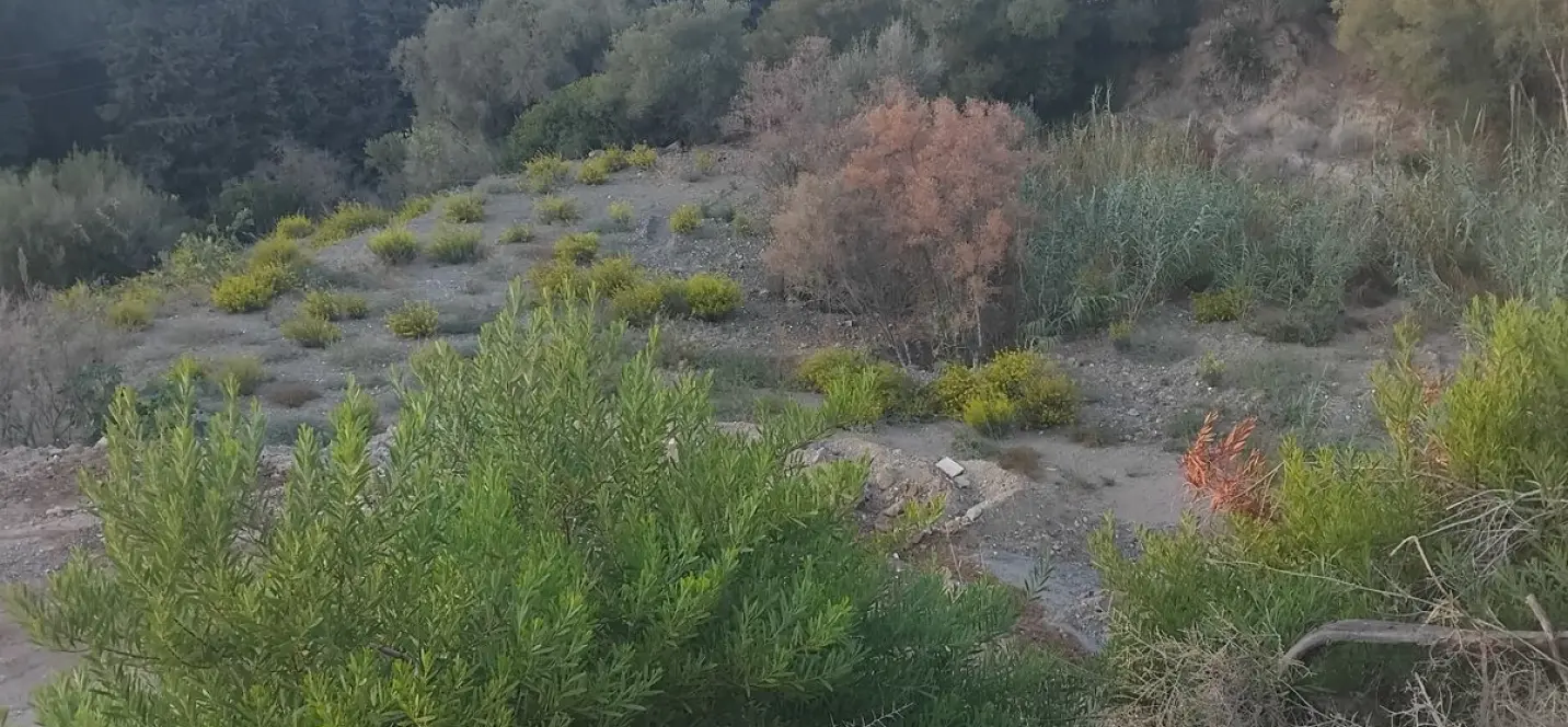 Sale of residential plot in La Quinta 3