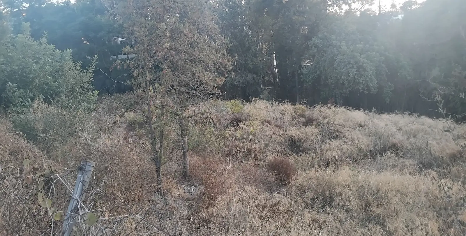 Sale of residential plot in La Quinta 5
