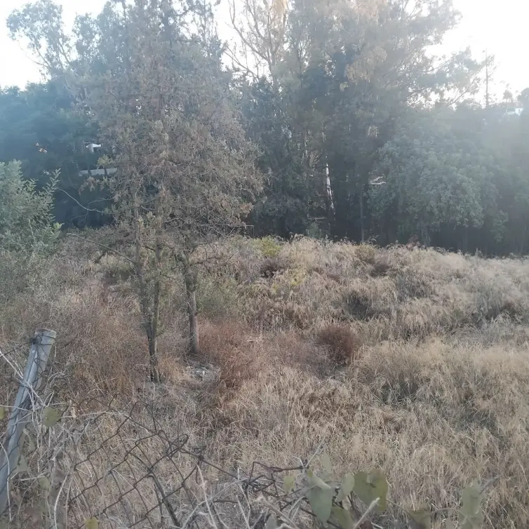 Sale of residential plot in La Quinta