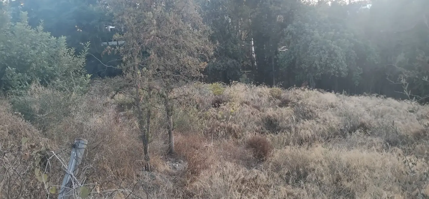 Sale of residential plot in La Quinta 4