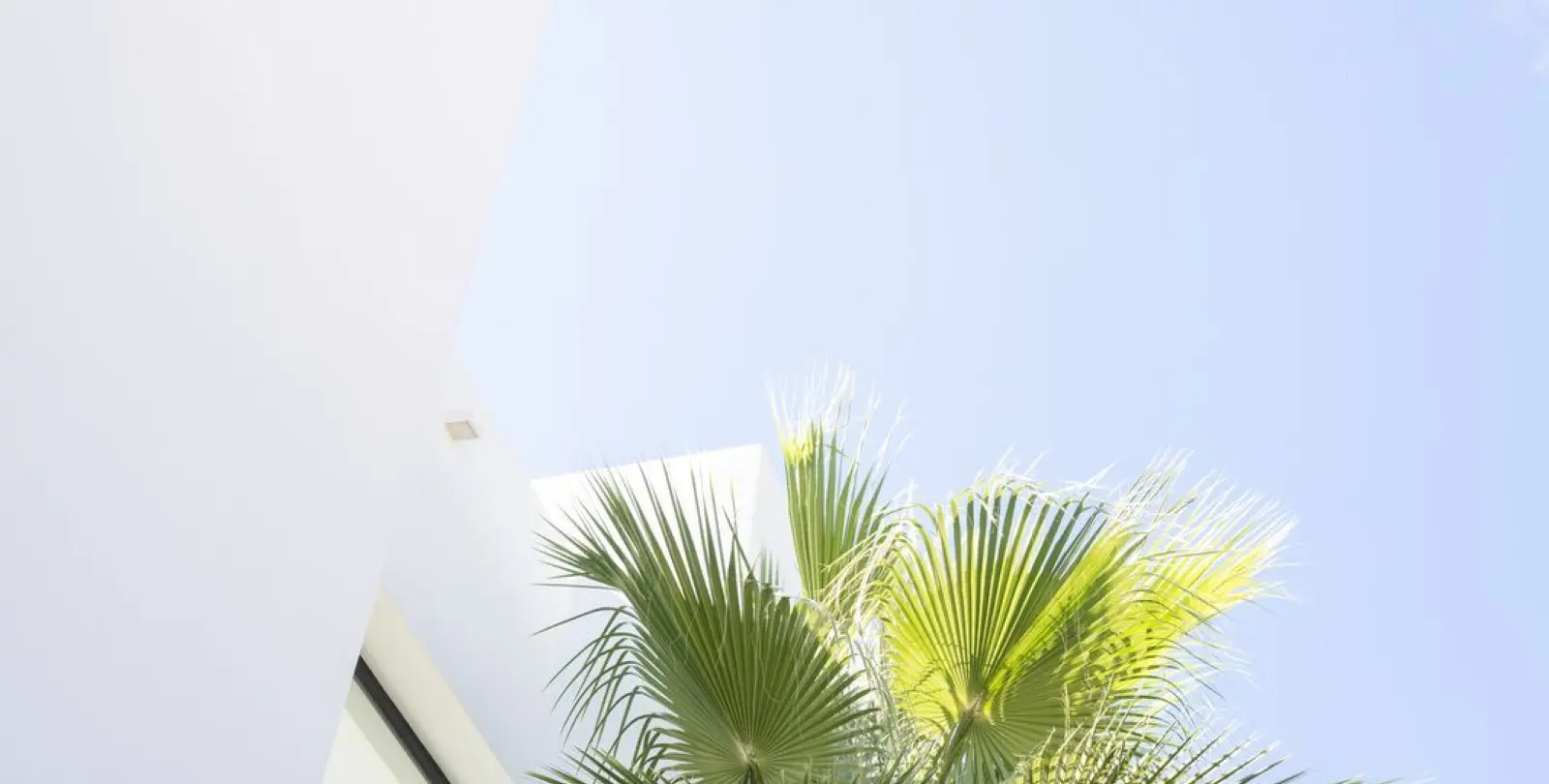 Sale of detached villa in Marbella 54