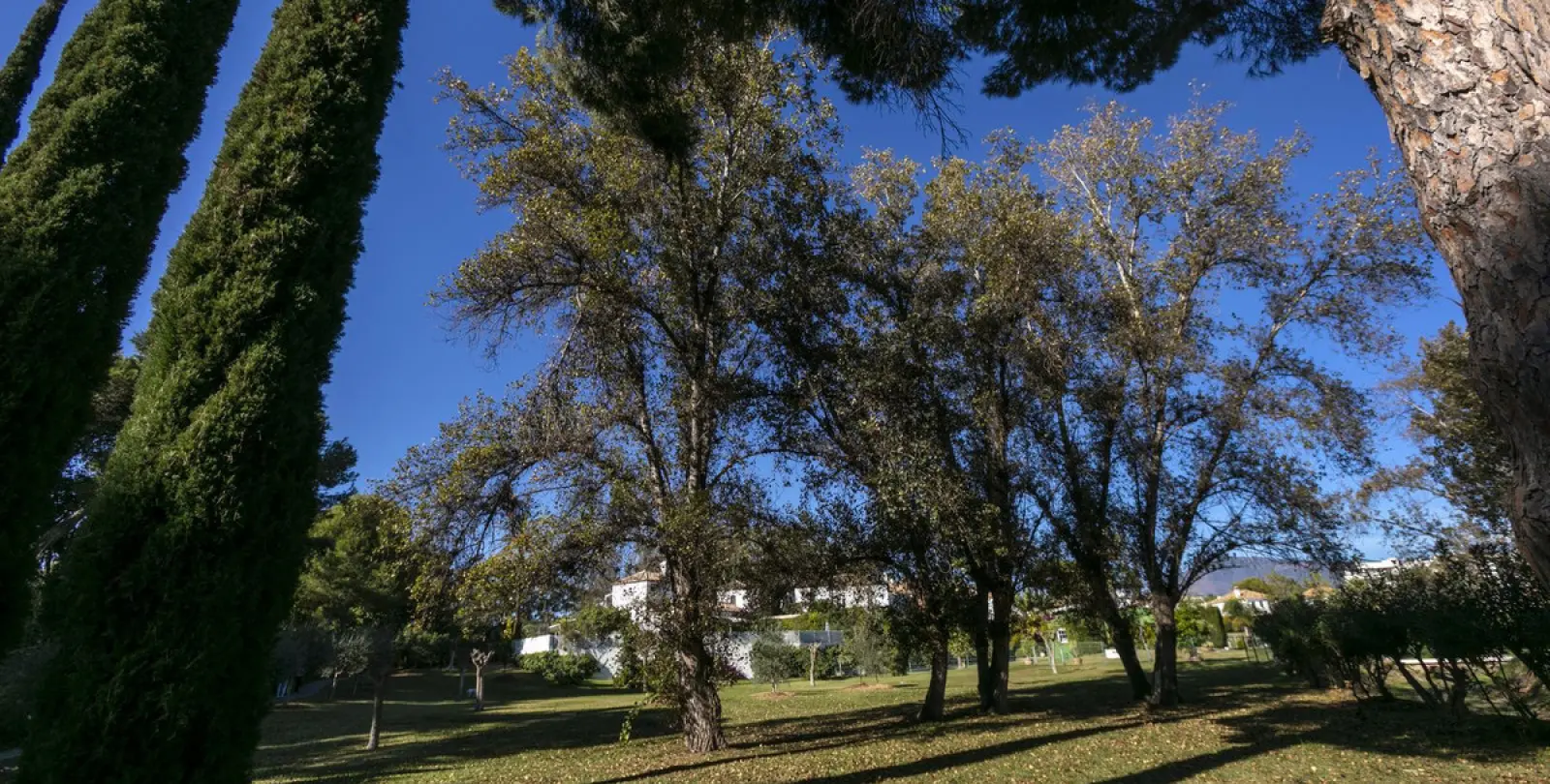 Long-term rent of detached villa in Estepona 78