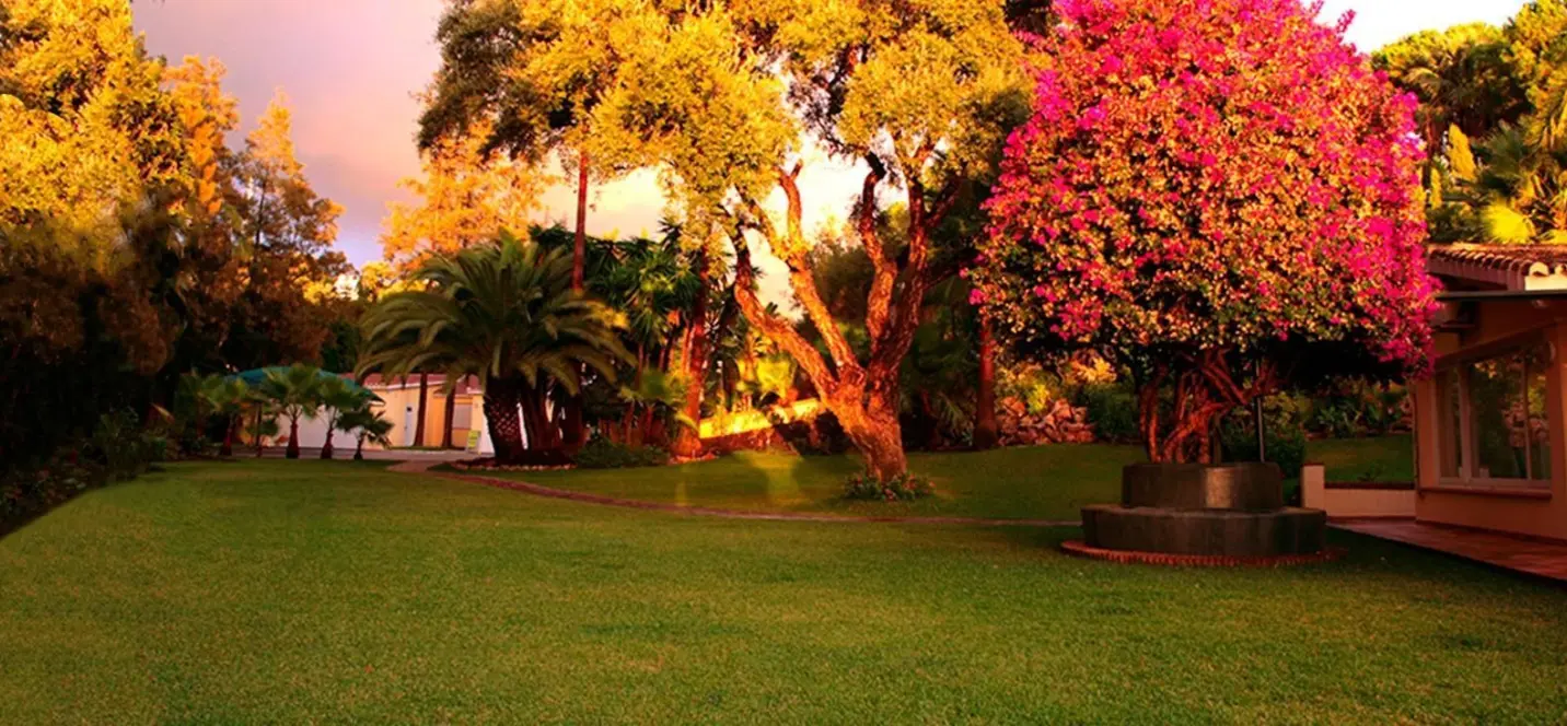 Venta de villa independiente en Elviria 2