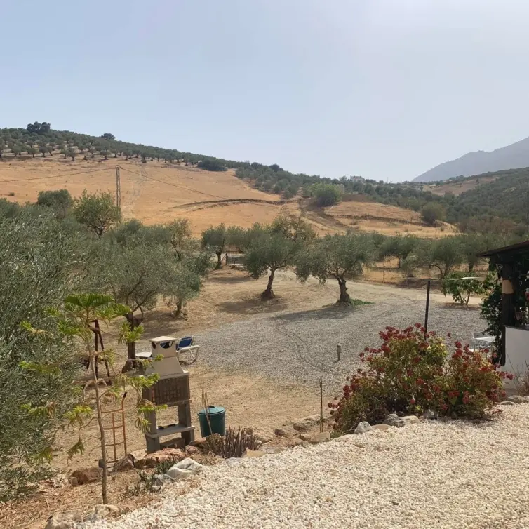 Sale of finca - cortijo in Casarabonela