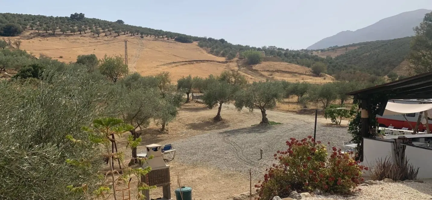 Sale of finca - cortijo in Casarabonela 1