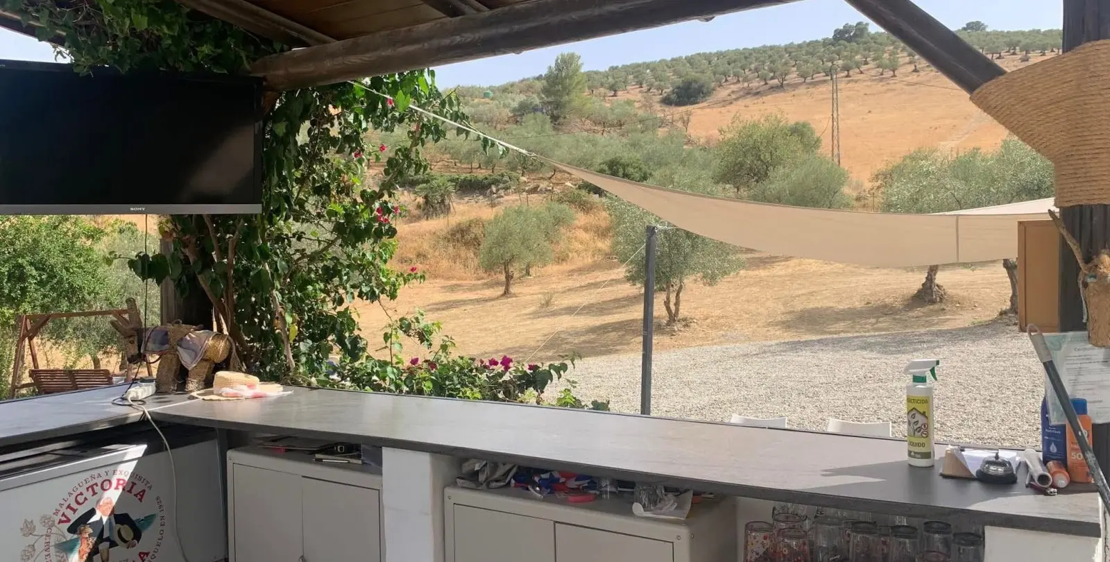 Sale of finca - cortijo in Casarabonela 19