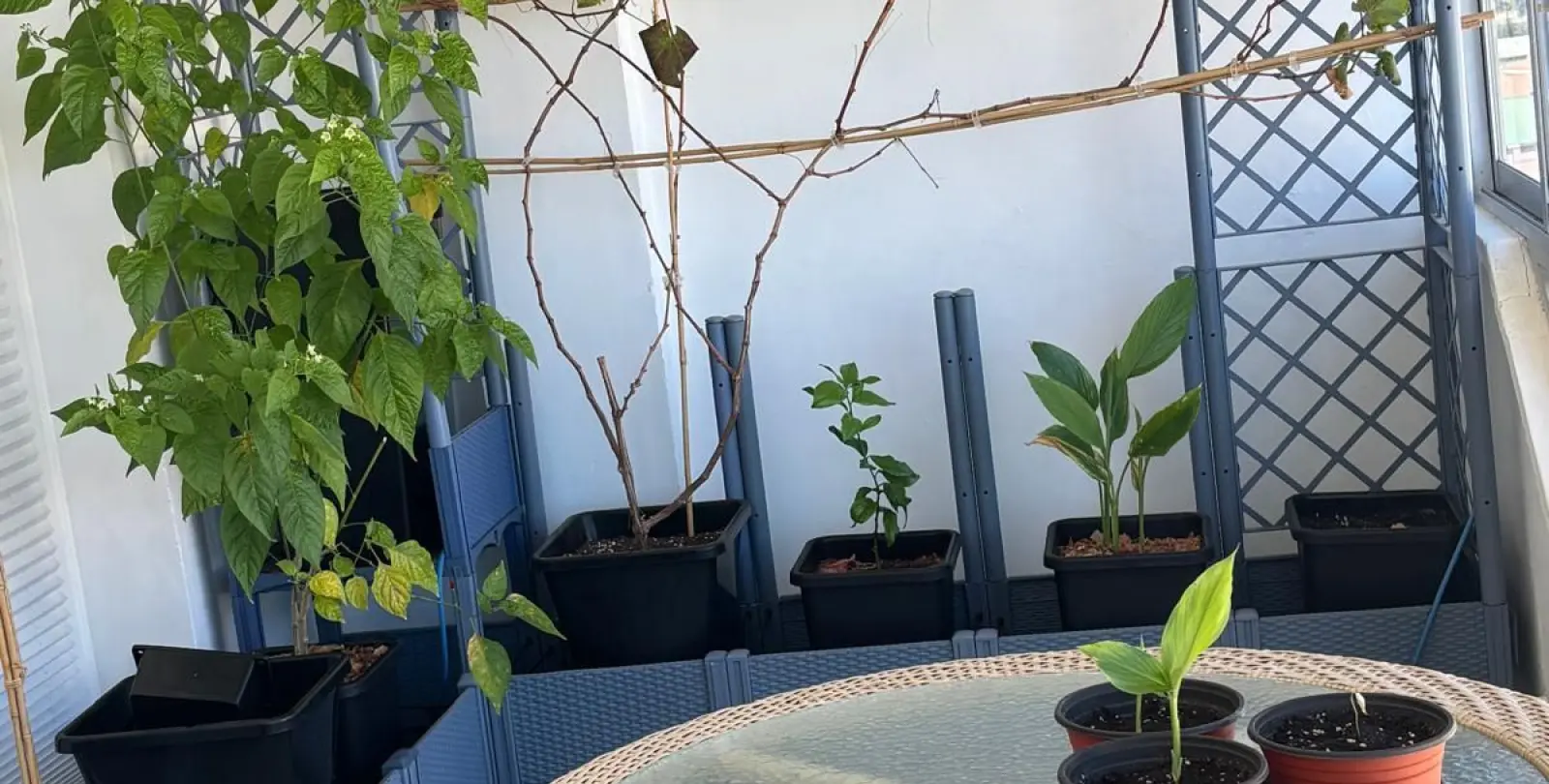 Продажа пентхауса в Fuengirola 16