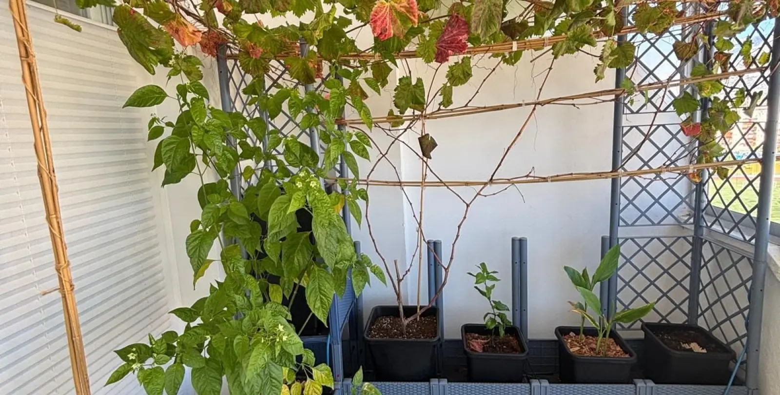 Продажа пентхауса в Fuengirola 19