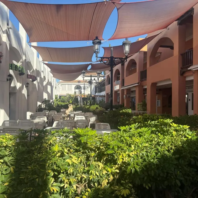 Venta de restaurante en Calahonda