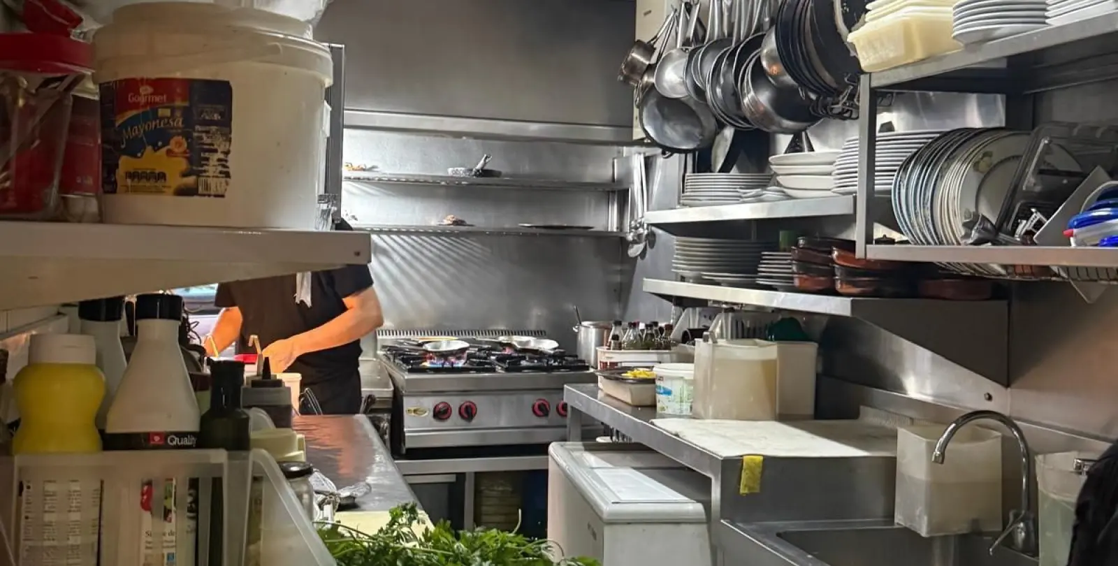 Venta de restaurante en Calahonda 12
