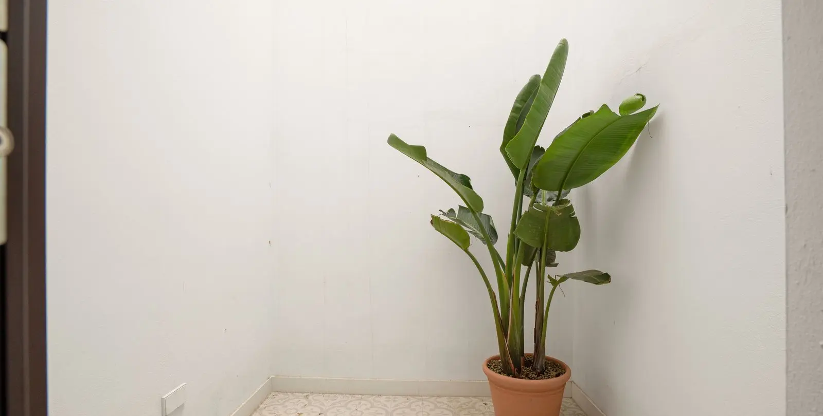 Venta de adosado en Estepona 11