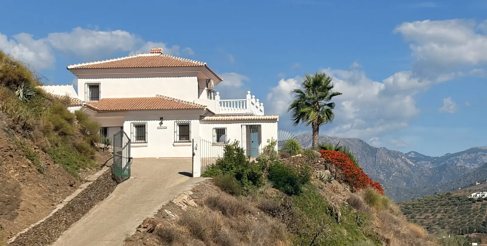 Venta de finca - cortijo en Sayalonga 2