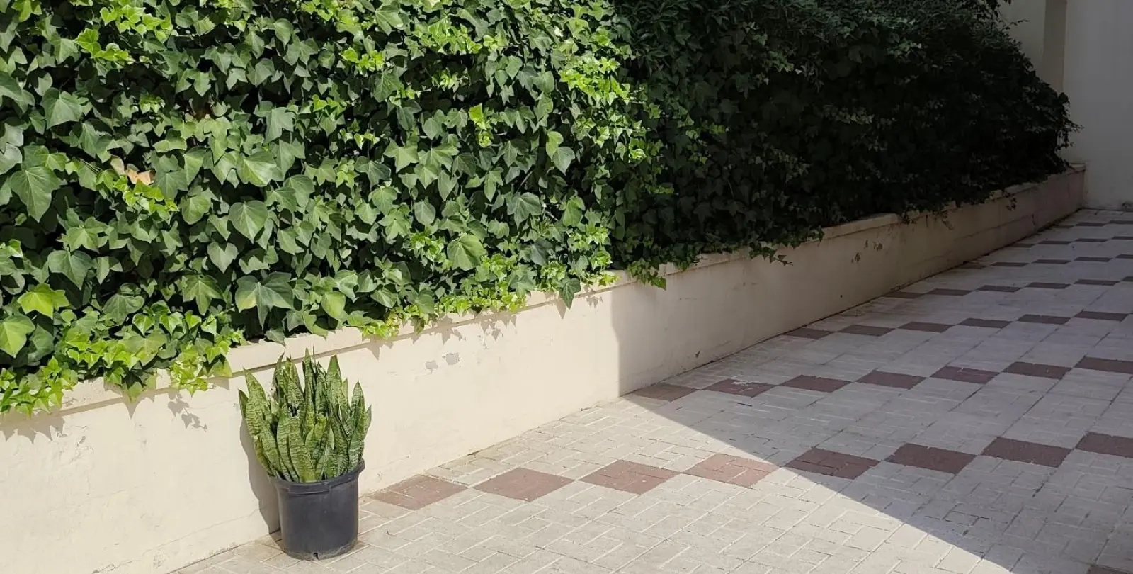 Venta de apartamento en planta baja en Ciudad Jardín 26