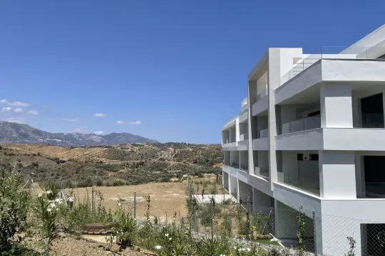 Image 4 thumb
