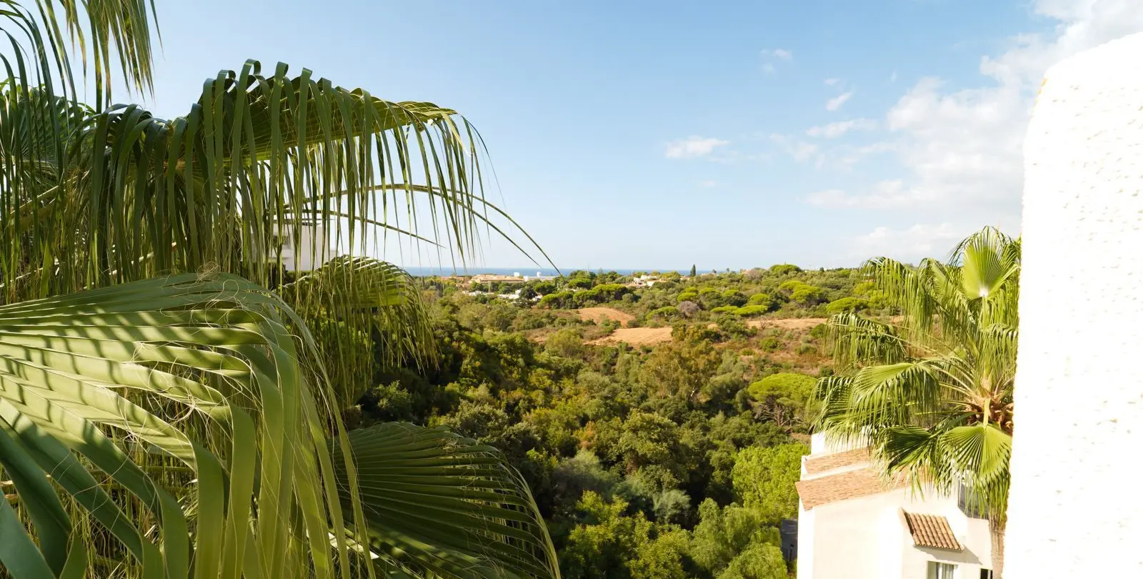 Sale of penthouse in Elviria 5