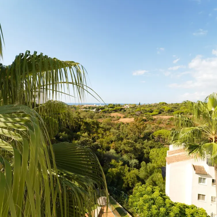 Продажа пентхауса в Elviria