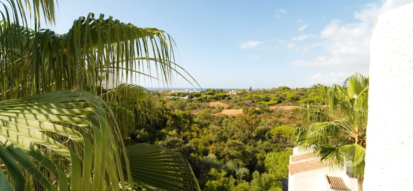 Sale of penthouse in Elviria 4
