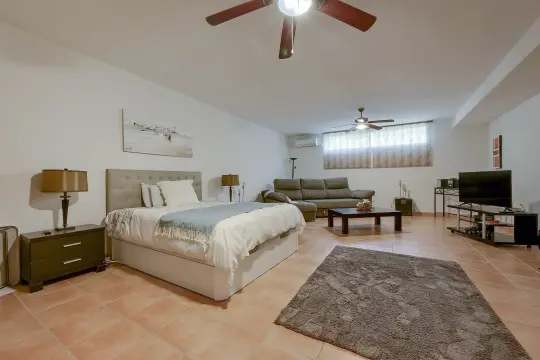 Image 17 thumb